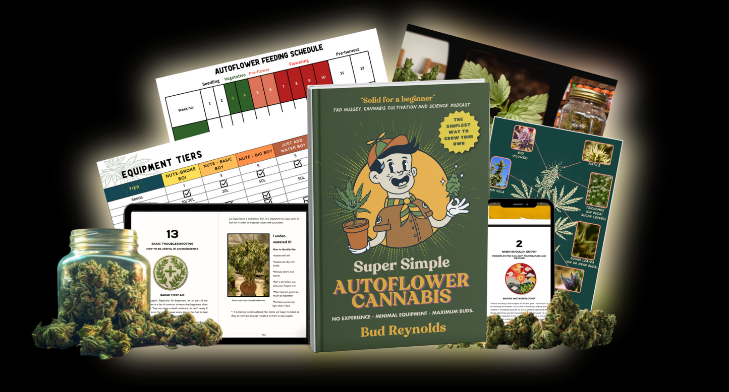 Super Simple Autoflower Cannabis eBook