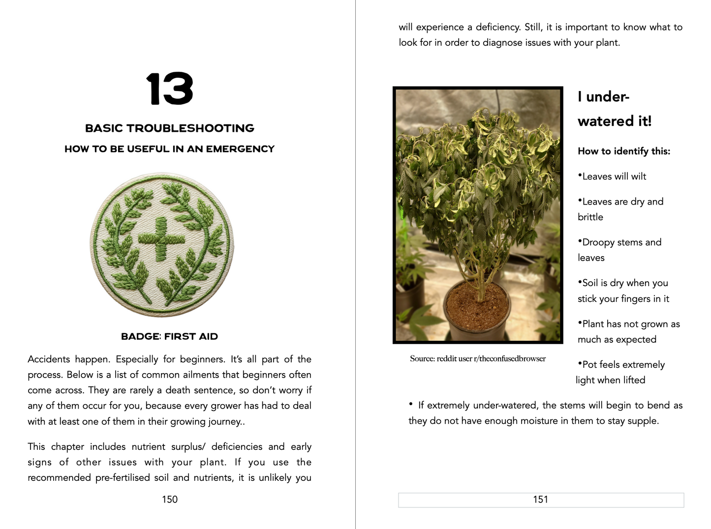 Super Simple Autoflower Cannabis eBook