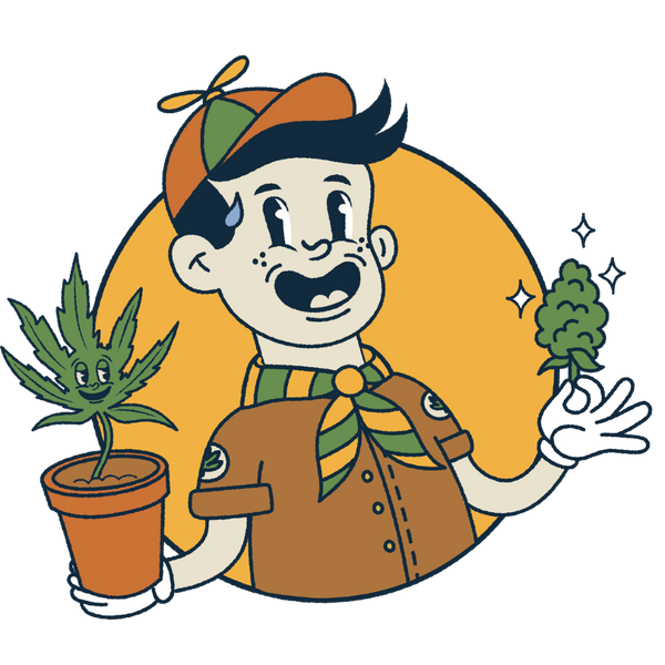 Super Simple Autoflower Cannabis