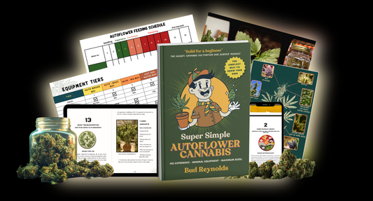 Super Simple Autoflower Cannabis eBook
